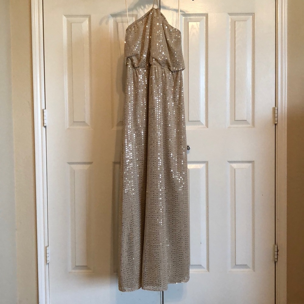 Long Dress - Taupe color with Seguins